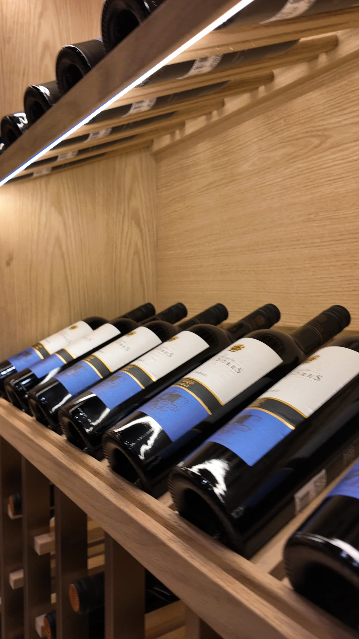 CR Land Zhiyu Yunjing Villa Basement Cellar view 10